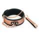 Широкий нашийник з повідцем Liebe Seele Rose Gold Memory Collar with Leash, натуральна шкіра SO9494 фото 1
