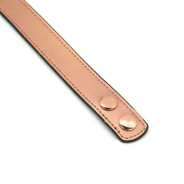 Нашийник із затискачами для сосків Liebe Seele Rose Gold Memory Collar with Nipple Clamps, шкіра SO9495 фото