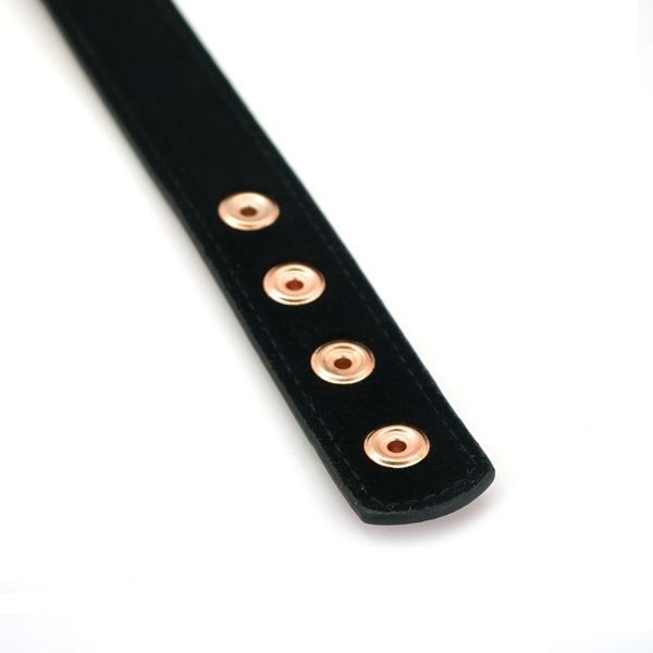 Нашийник із затискачами для сосків Liebe Seele Rose Gold Memory Collar with Nipple Clamps, шкіра SO9495 фото