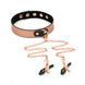 Нашийник із затискачами для сосків Liebe Seele Rose Gold Memory Collar with Nipple Clamps, шкіра SO9495 фото 8