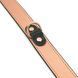 Нашийник із затискачами для сосків Liebe Seele Rose Gold Memory Collar with Nipple Clamps, шкіра SO9495 фото 5