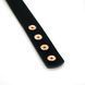 Нашийник із затискачами для сосків Liebe Seele Rose Gold Memory Collar with Nipple Clamps, шкіра SO9495 фото 7