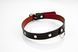 Нашийник Whips Collection Collar For Her 60580411867 фото 4