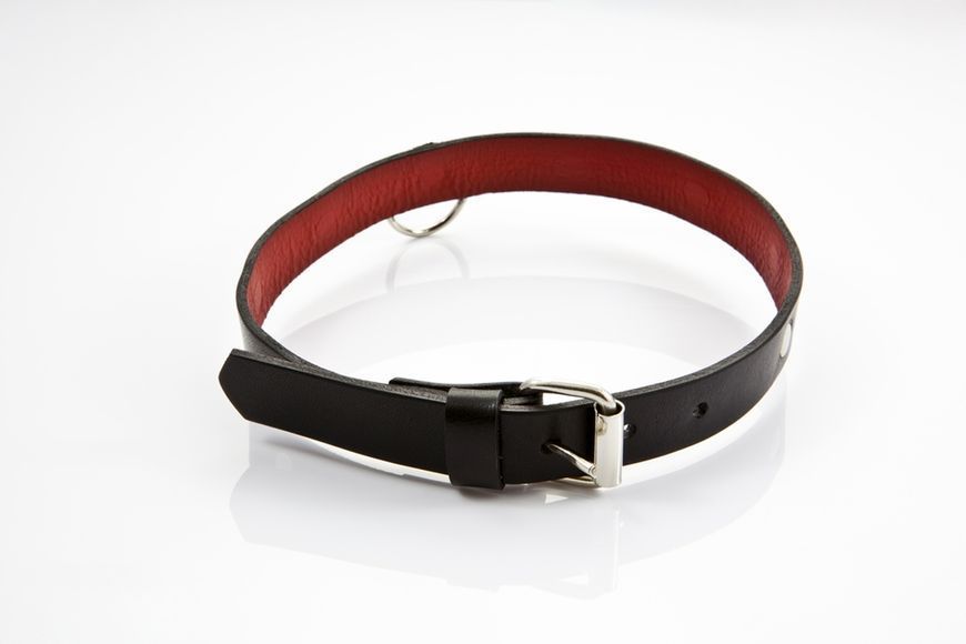 Нашийник Whips Collection Collar For Her 60580411867 фото