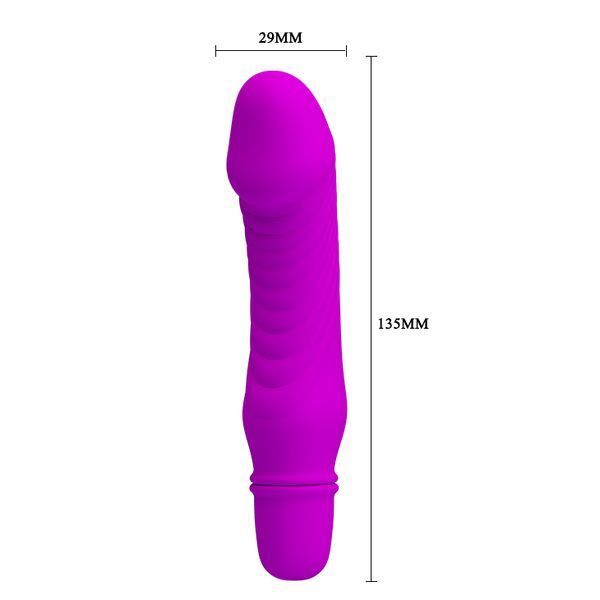 Мінівібратор Pretty Love Stev Vibrator Purple 6603BI-014510 фото