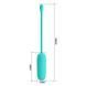 Віброяйце Pretty Love Joyce Vibrating Egg Mint, 30 г 6603BI-014665-1 фото 3