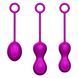 Набір вагінальних кульок - Kegel Balls Set
