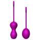 Набір вагінальних кульок - Kegel Balls Set 62530063-00044 фото 4