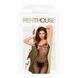 Бодістокінг Penthouse - Dark Wish Black SO5242 фото 3
