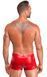 Чоловічі шорти Noir Handmade H097 Ignite shorts XL SX4220 фото 4