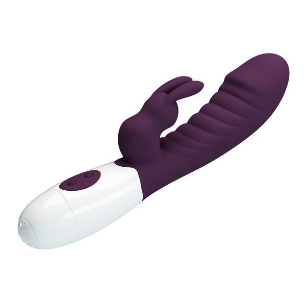 Вібратор-кролик Pretty Love Naughty Bunny Vibrator Dark Purple 6603BW-500071-A2 фото
