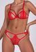 Комплект Passion ANUVERA SET fire brick XL SX2898 фото 3