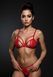 Комплект Passion ANUVERA SET fire brick XL SX2900 фото 10