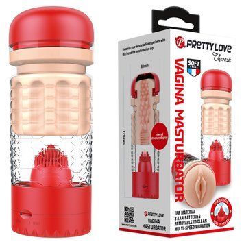 Мастурбатор Pretty Love Theresa Vagina Masturbator 6603BM-00900T65-1 фото