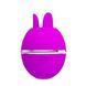 Кліторальний стимулятор Pretty Love Gemini Ball Purple 6603BI-300001 фото 2