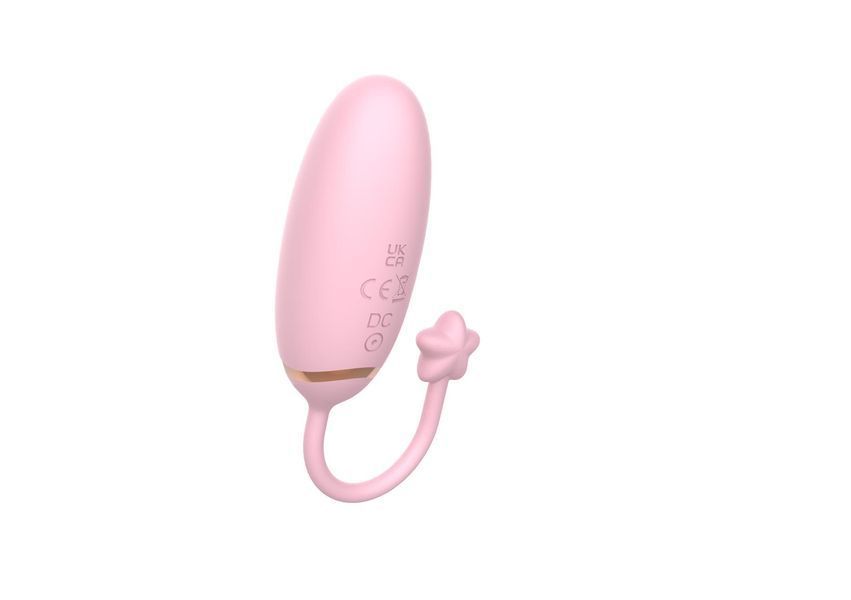 Віброяйце - Love Egg, APP 2.0 62530056-3041 фото