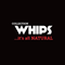 Whips Collection