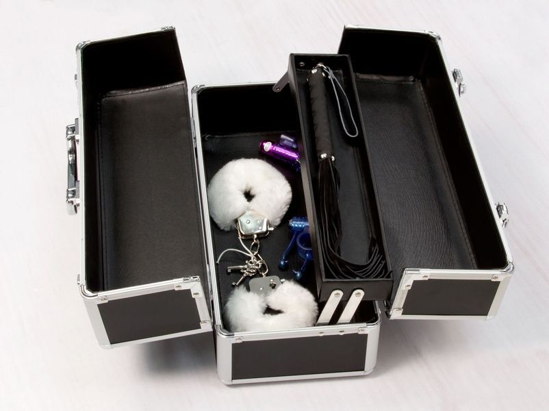 Великий кейс для зберігання секс-іграшок BMS Factory Large Lokable Vibrator Case Black, кодовий замо SO8899 фото